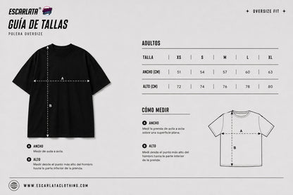 OVERSIZE POLERA - GOKU & KRILLIN ENTRENAMIENTO ROSHI - DRAGONBALL