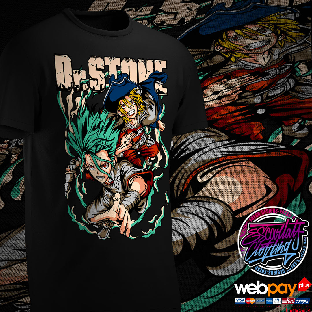 POLERA DR.STONE COLOR